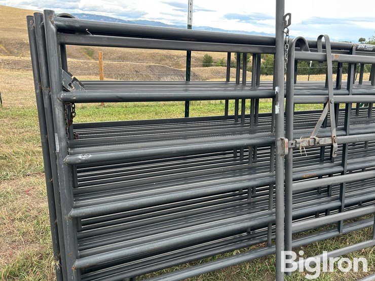 hw-livestock-panels-&-arched-gate-image-13