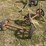 (2)-cart-axles-image-4