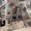 coln-ehrenfield-engine-image-9