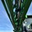 2014-john-deere-r4030-4x4-high-clearance-self-propelled-sprayer-image-60