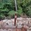 wooden-plow-image-9