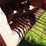 hesston-4650-image-6