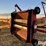 feterl-12x72-auger-w/swing-out-hopper-image-14