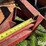 spread-all-litter/spinner-deck-manure-spreader-attachment-image-15