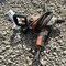 mcgrew's-no-reserve-dealer-equipment-auction-image-2