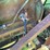 john-deere-6404d-diesel-power-unit-on-cart-image-19