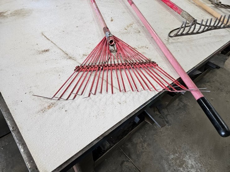 #9231-•-rack-of-assorted-yard-tools-image-5