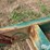 doyle-stainless-steel-48’-vertical-drag-conveyor-image-16