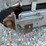 doyle-stainless-steel-36’-belt-conveyor-image-19