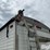 2021-timpte-4266-“super-hopper”-t/a-grain-trailer-image-15