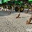 2016-john-deere-2210l-45’-field-cultivator-image-14