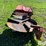 spread-all-litter/spinner-deck-manure-spreader-attachment-image-4