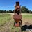harvestore-roller-mill-image-7