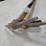 #9211-•-(3)-assorted-pick-axes-image-9