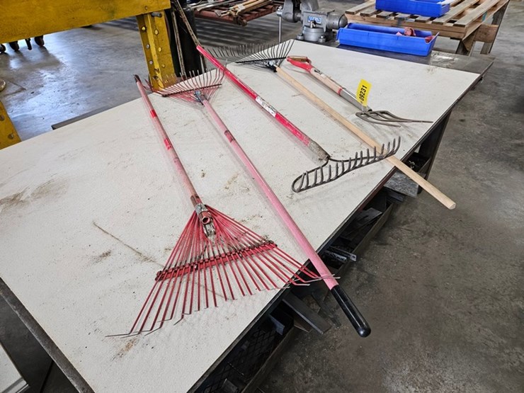 #9231-•-rack-of-assorted-yard-tools-image-4