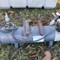bradford-county-fall-consignment-auction-image-6