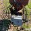 harvestore-roller-mill-image-8