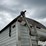 2021-timpte-4266-“super-hopper”-t/a-grain-trailer-image-15