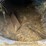 2019-actium-classic-continuous-compost-drum-image-20