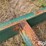 doyle-stainless-steel-48’-vertical-drag-conveyor-image-18