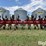 case-1820-16r30”-3-pt-row-crop-cultivator-image-6