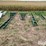 doyle-stainless-steel-48’-vertical-drag-conveyor-image-5