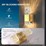 modern-outdoor-wall-sconce-lights-fixtures-image-6