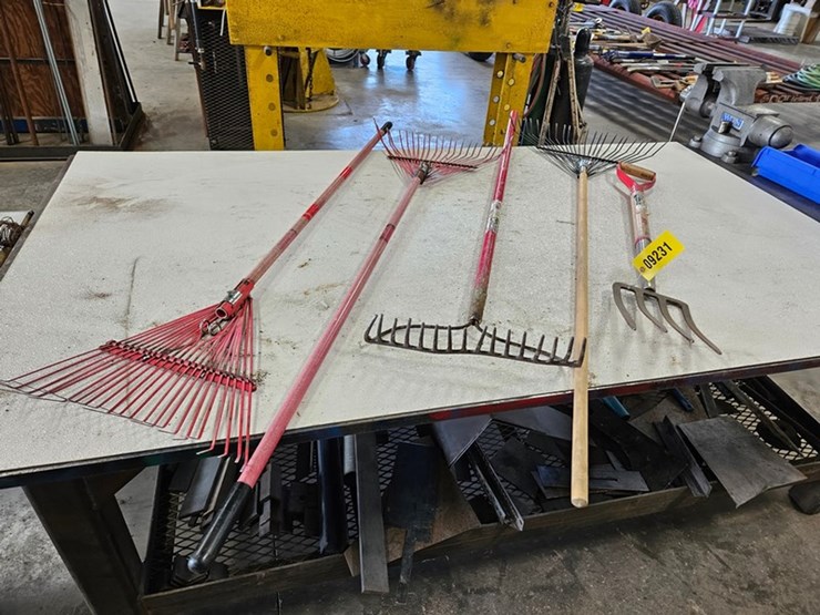 #9231-•-rack-of-assorted-yard-tools-image-3